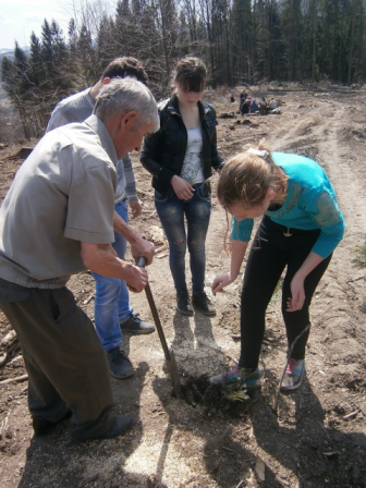 Багато лісу – бережи, немає лісу – посади…