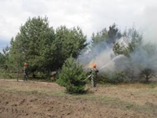 Громадяни, дотримуйтесь пожежної безпеки у лісі!