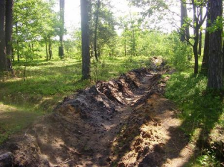 Охорона лісу від пожеж у ДП «Радехівське лісомисливське господарство»