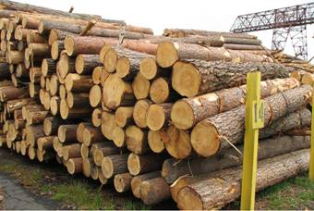 Погодженено нові правила торгівлі деревиною