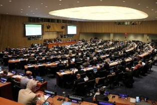 Затверджено основні міжнародні домовленості стосовно лісів на наступні 15 років