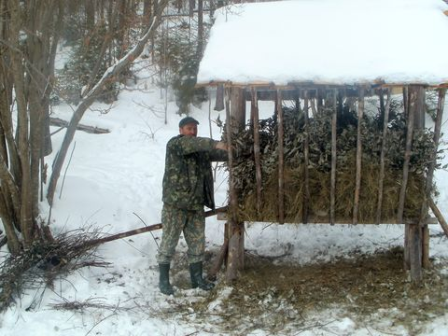 Тварини під надійною опікою