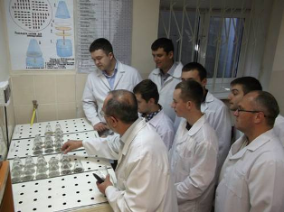 Для вирощування продуктивних та стійких насаджень у лісовому господарстві розпочали використовувати наноматеріали