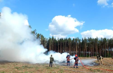 Держлісагентство закликає громадян відмовитися від відвідування лісів у спекотну погоду у зв'язку зі зростанням кількості пожеж