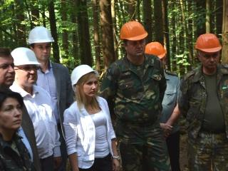 Необхідна Стратегія розвитку лісового господарства в Карпатах, - Христина Юшкевич