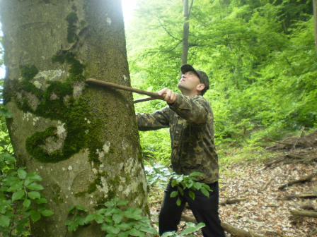Відводи  на 2017 рік по ДП «Бібрське лісове господарство» завершені