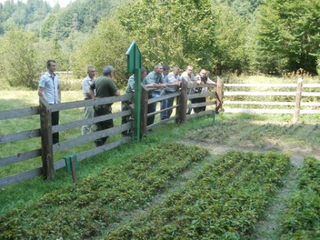 Стан лісонасіннєвої справи в НПП «Сколівські Бескиди»