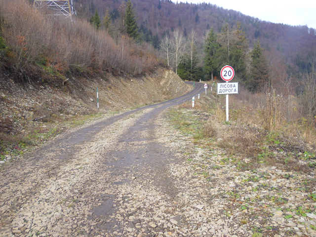 Будівництво лісових доріг