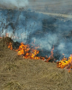 Шановні краяни!