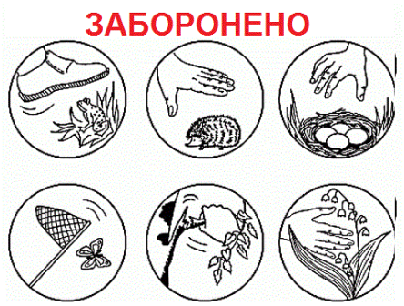 Пам`ятка для туристів