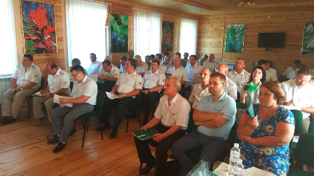 Держлісагентство: аукціони з продажу деревини відбуватимуться в електронній формі