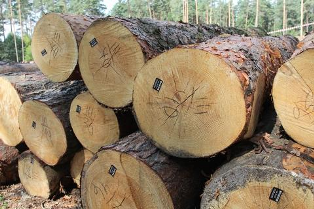 Відбулось засідання круглого столу