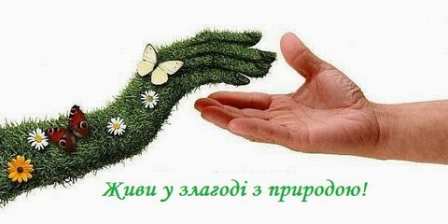 Дотримуйтесь правил відпочинку в лісі!