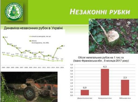 Порядок має бути скрізь і стандарти галузь має затвердити єдині, - Президент на нараді з питань реформування лісового господарства