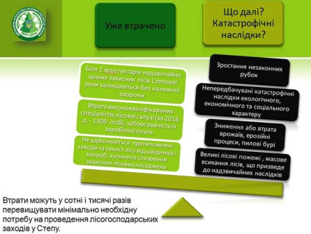 Держлісагентство: для функціонування лісового господарства необхідно 710 млн гривень