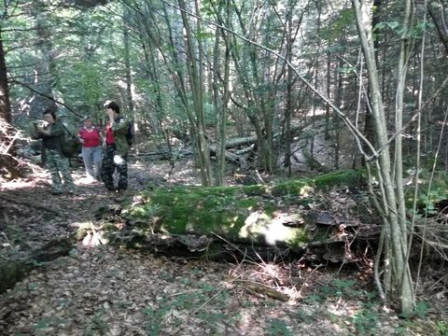 У НПП "Сколівські Бесикди" проведено ідентифікацію старовікових лісів та пралісів