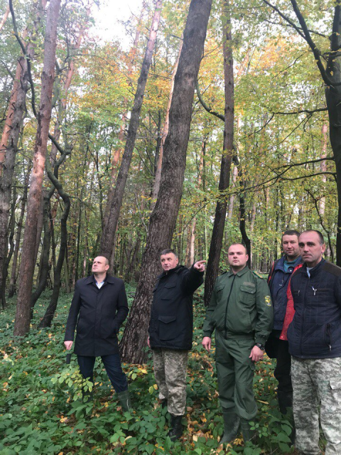 На Старосамбірщині проведено семінар – навчання на тему: «Всихання соснових насаджень»