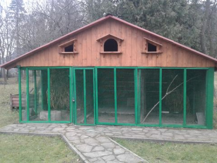 На території садиби Сколівського лісництва закінчено облаштування вольєру для фазанів