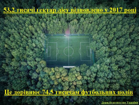 Держлісагентство: у 2017 році відновлено лісів на площі, яка дорівнює 74,5 тис. футбольних полів