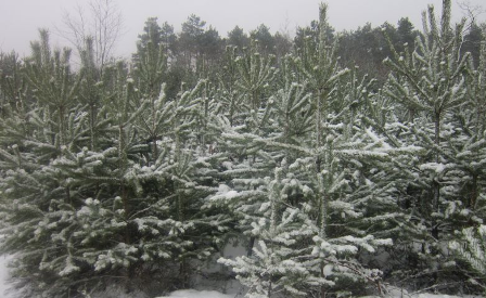 До уваги представників ЗМІ