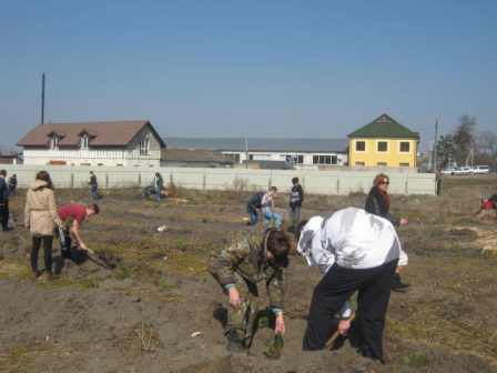 У Бродах буде новий лісопарк